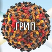 Грипът вреди на всички важни органи и системи