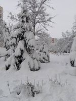 Зима е (ГАЛЕРИЯ)
