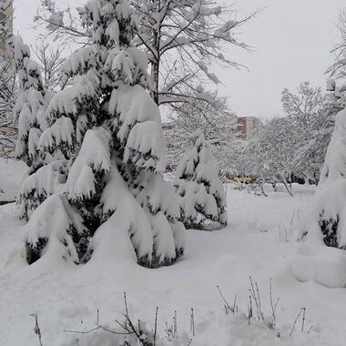 Зима е (ГАЛЕРИЯ)