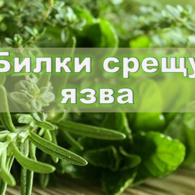 Рецептите на Петър Димков за лечение на язва