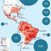 The Lancet: Високата заболяемост от Гилен-Баре в пряка връзка със Zika-инфекцията!