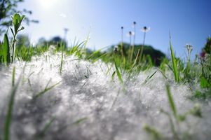 Нелекуваната сенна хрема може да доведе до усложнения