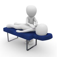 ВЪЗМОЖНОСТИ ЗА ЦИТОГЕНЕТИЧНА ОЦЕНКА НА ФИЗИОТЕРАПЕВТИЧНИЯ ПЕРСОНАЛ