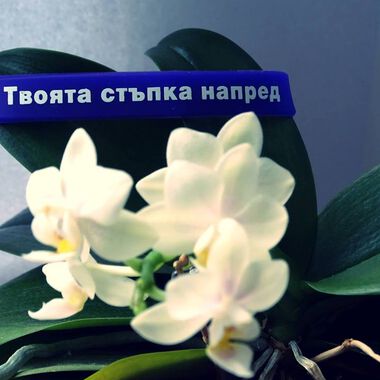 Съвместна дарителска кампания на КОЦ-Русе и МБАЛ-Русе