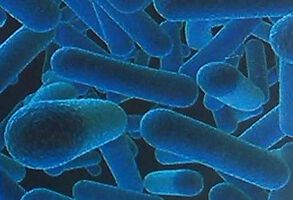Screening for Anti-Enterovirus Activity of New Diaryl Ethers