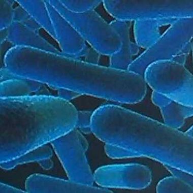 Screening for Anti-Enterovirus Activity of New Diaryl Ethers