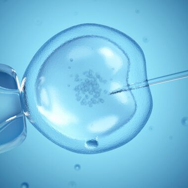 Седем бебета са родени през 2016 по ин витро програмата на Община Варна
