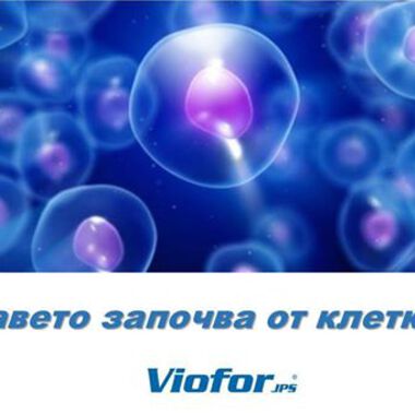 ИМУНОСТИМУЛИРАЩА ПРОГРАМА VIOFOR БЕЗ ЛЕКАРСТВА