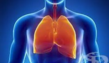 Пречистване на белите дробове в сезона на грипните вируси