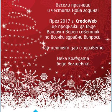 CredoWeb Ви пожелава весела Коледа и щастлива Нова година
