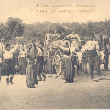 Тематична изложба за 14 февруари представя МУ-Варна- лечебните свойства на гроздето