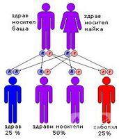 СЕДМИЦА НА ОТВОРЕНИТЕ ВРАТИ
ЗА ГЕНЕТИЧНО НОСИТЕЛСТВО НА ТАЛАСЕМИЯ