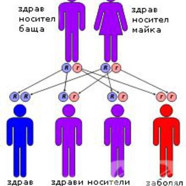 СЕДМИЦА НА ОТВОРЕНИТЕ ВРАТИ
ЗА ГЕНЕТИЧНО НОСИТЕЛСТВО НА ТАЛАСЕМИЯ
