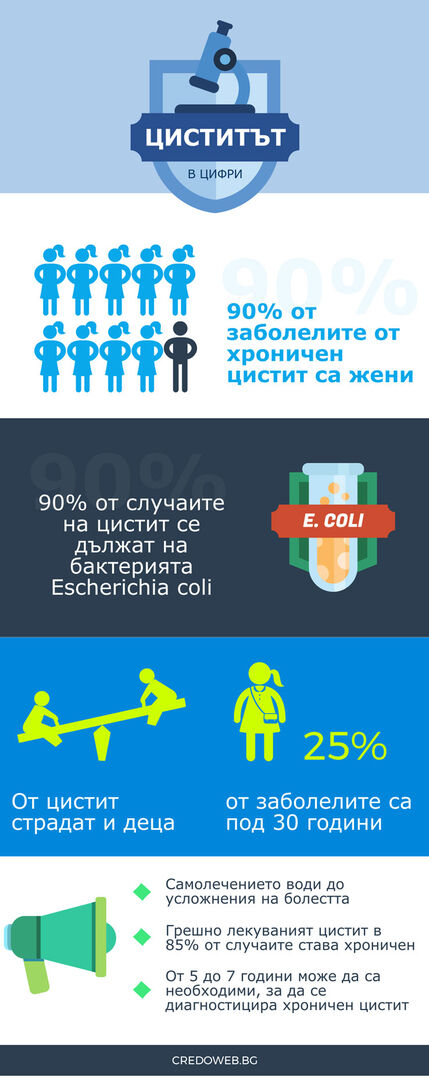 90 процента от случаите на цистит се дължат на бактерията Escherichia coli