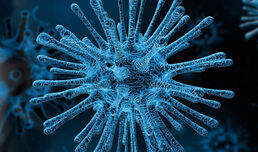 Nueva información sobre las variantes del virus que causa COVID-19