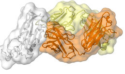 Global Actemra shortage as delta variant drives huge spike in demand for COVID-19 patients