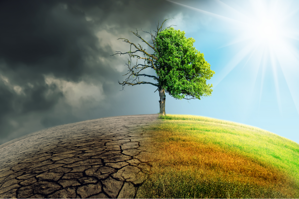 Klimaschutz ist Gesundheitsschutz – dringendes Handeln ist geboten