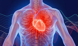 Modern heart valve diagnostics and therapy (VIDEO)
