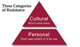 Culture and Resistance to Change – A Pharma SFE Adoption Case Study