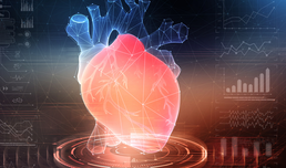 WOMEN MUST BE EQUALLY REPRESENTED IN HEART DISEASE RESEARCH