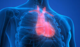 ESC survey: Fear of COVID-19 keeping 50% of heart attack patients away from hospitals