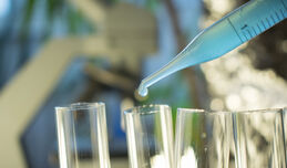 Oxford coronavirus vaccine data could go to regulators this year