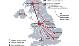 Researchers design COVID-19 mortality score