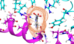 How SARS-CoV-2 reaches the brain - new study