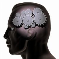 Brain scanner in a helmet developed by scientists