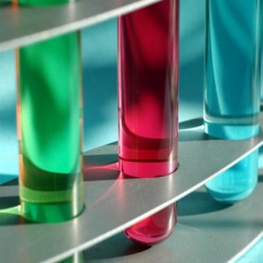 Immunology Events 2018 - 2019