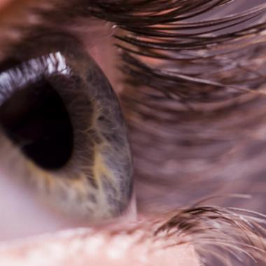 Healthy vision helps to keep the brain in shape
