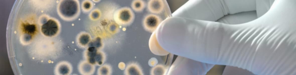 New antibiotic family was discovered