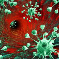 Mini-tumours created in laboratory to battle cancer