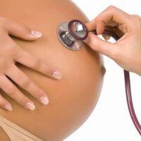 Live birth rate following frozen–thawed blastocyst transfer