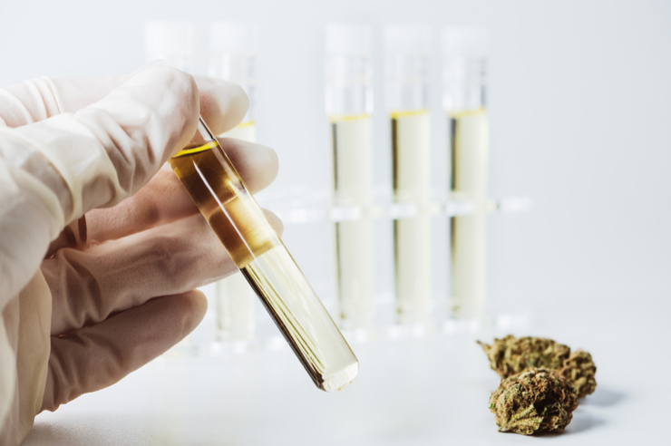 Medizinisches Cannabis: VSV will Schmerzpatienten unterstützen