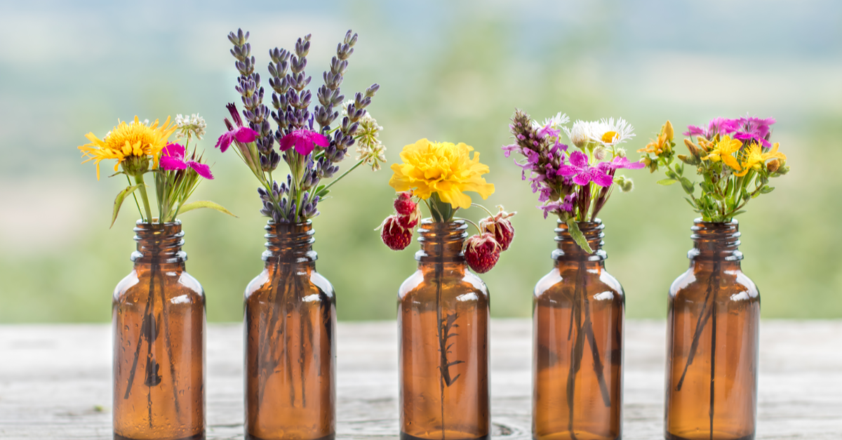 French watchdog recommends ending reimbursement for homeopathic drugs