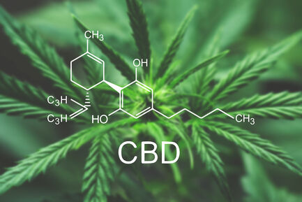 Cannabis als Medizin: in Österreich bleibt alles bei Altem