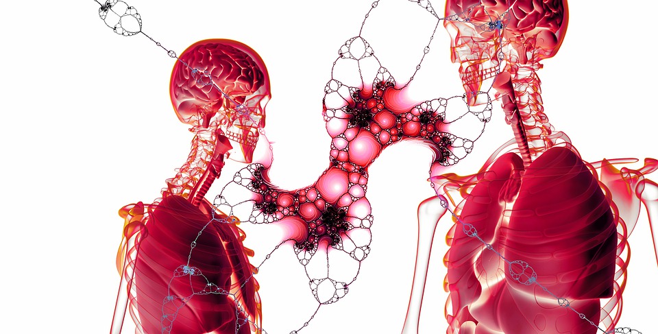 INNOVATION AWARD von IPO für Microvascular Hightech Solutions