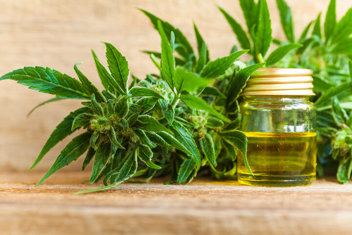 Cannabis zur Krebsbehandlung laut Forschern nicht sicher