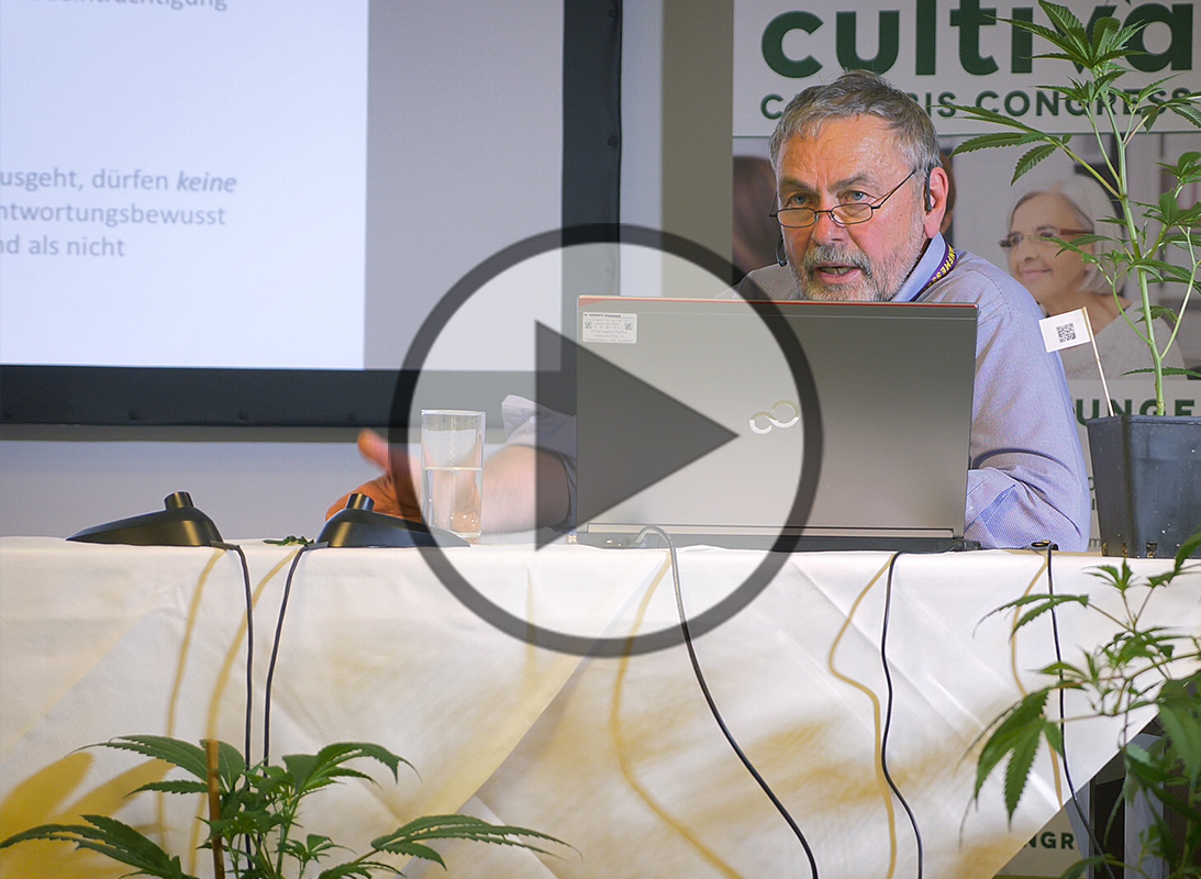 Cannabis im Fokus der Forschung - Video