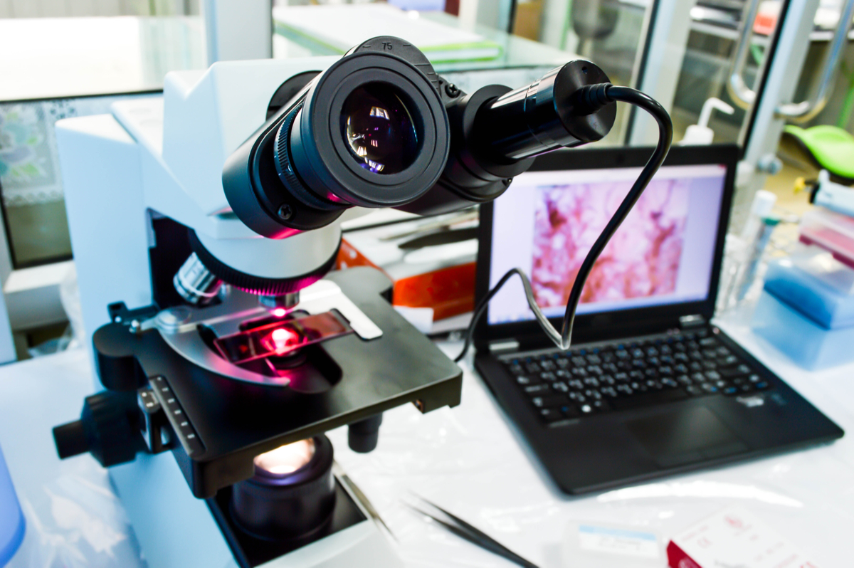 Zentrale Bedeutung der Pathologie in der individualisierten Präzisionsmedizin