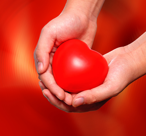 Not all “good” cholesterol protects the heart
