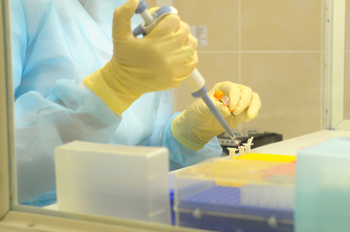 Krebsforschung: Organoide imitieren die Prostata