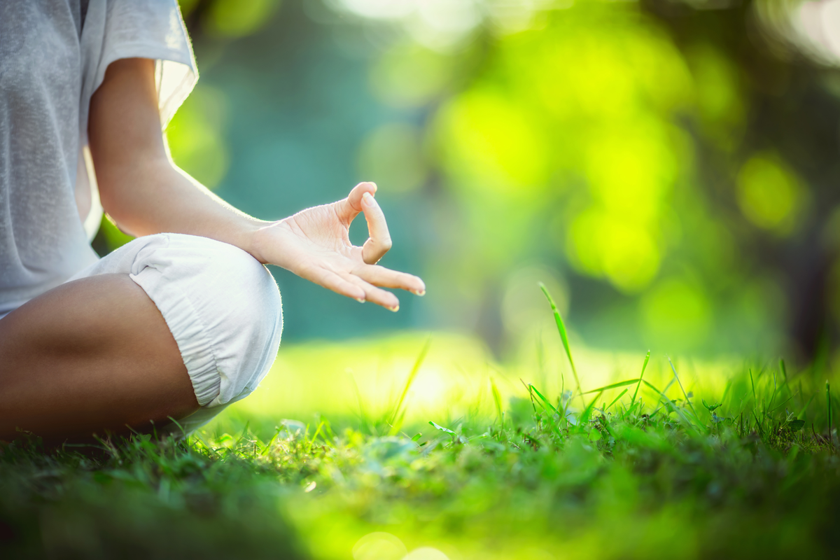 Schon 20 Minuten in der Natur reduzieren den Stresslevel
