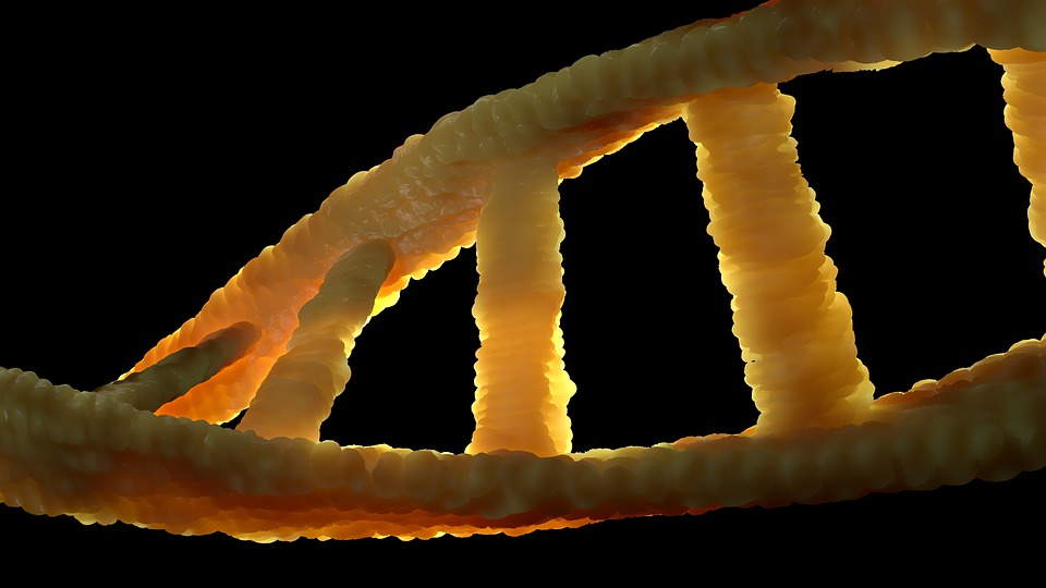 Genetische Beratung und Untersuchung von Anfälligkeitsgenen zur therapeutischen Entscheidungsfindung bei Brustkrebs