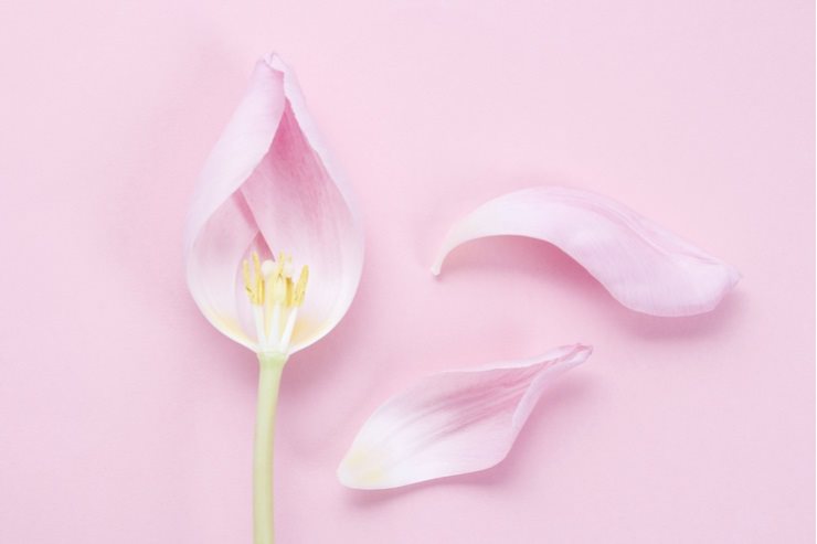 Die problematischsten Erkrankungen der Vulva - Video