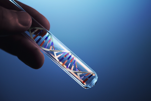 RNA-Modifikation als wichtiger Faktor der Kontraktion glatter Muskulatur