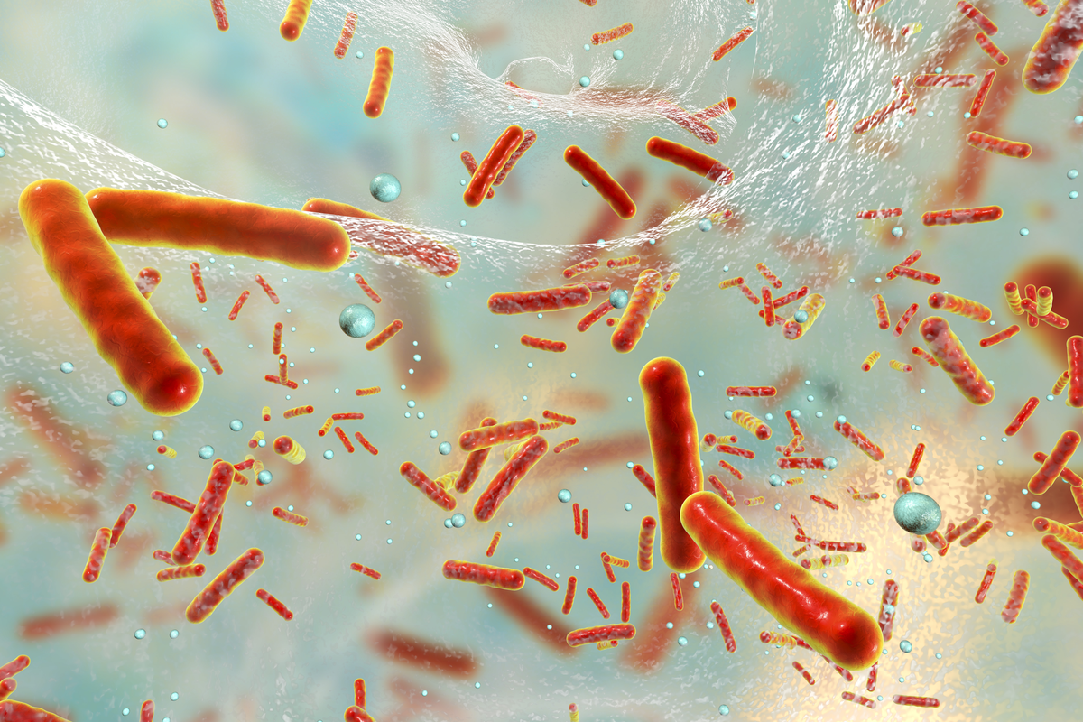 Ärzte ohne Grenzen entwickelt App zur Diagnose von Antibiotikaresistenzen