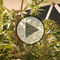 Cannabinoide in der ärztlichen Praxis - Video