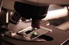 Biosensor entwickelt, um spezifische Bluttests zu erleichtern